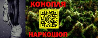 крисы Аргун