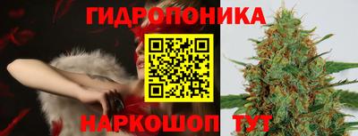 крисы Аргун