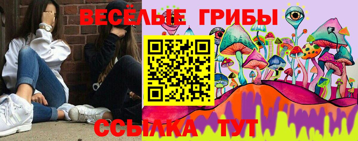Псилоцибиновые грибы Psilocybe  Вход с VPN  Бугуруслан 